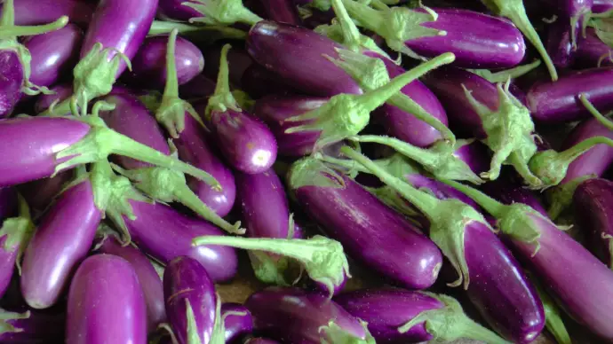 Brinjal color humalite